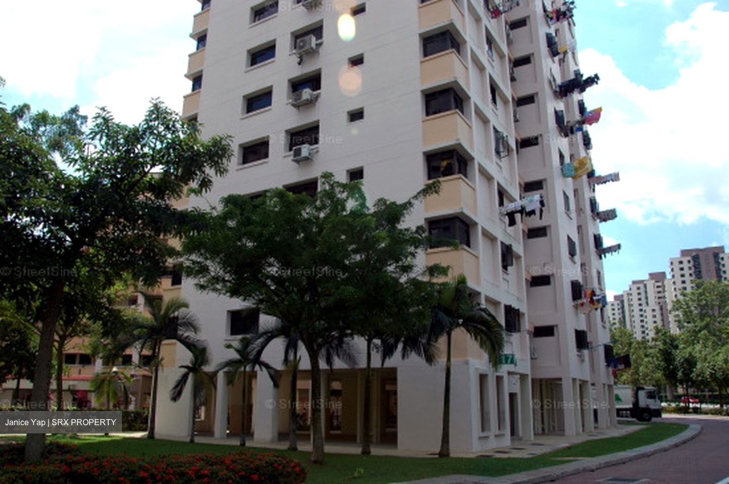 Blk 517 Pangshan Valley (Bukit Panjang), HDB Executive #606817031